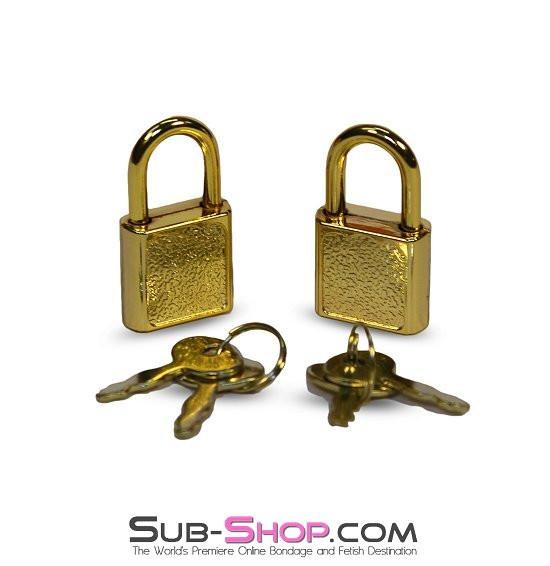 9753A      Gold Series Mini Charm Padlocks Pair Padlock   , Sub-Shop.com Bondage and Fetish Superstore