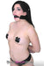 9814M      Ball Gag and Connected Wrist Restraint System Bondage Set   , Sub-Shop.com Bondage and Fetish Superstore