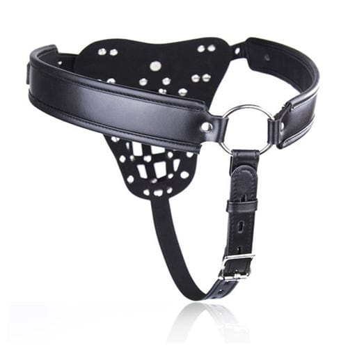 9870M      Alpha Cage Locking Bondage Belt with Chastity Cage Chastity   , Sub-Shop.com Bondage and Fetish Superstore