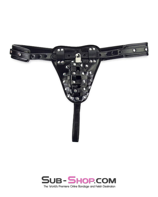 9870M      Alpha Cage Locking Bondage Belt with Chastity Cage Chastity   , Sub-Shop.com Bondage and Fetish Superstore
