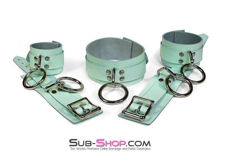 0988A     I Like It Rough Retro Mint Green Leather Bondage Collar Collar   , Sub-Shop.com Bondage and Fetish Superstore