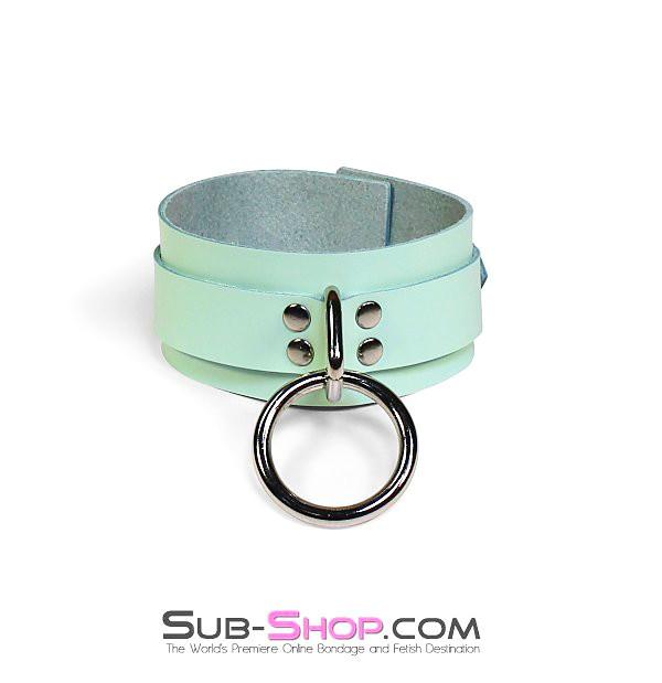 0988A     I Like It Rough Retro Mint Green Leather Bondage Collar Collar   , Sub-Shop.com Bondage and Fetish Superstore