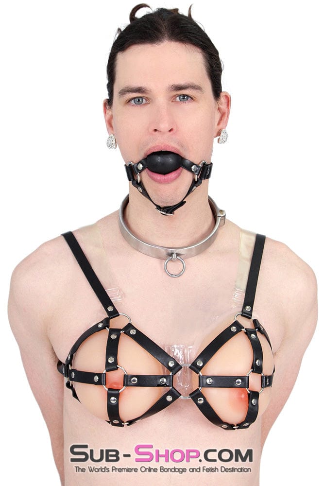 9877RS      Gia Real Feel Silicone Breast Forms with Nipples and Clear Straps, DD Cup Breast Forms   , Sub-Shop.com Bondage and Fetish Superstore
