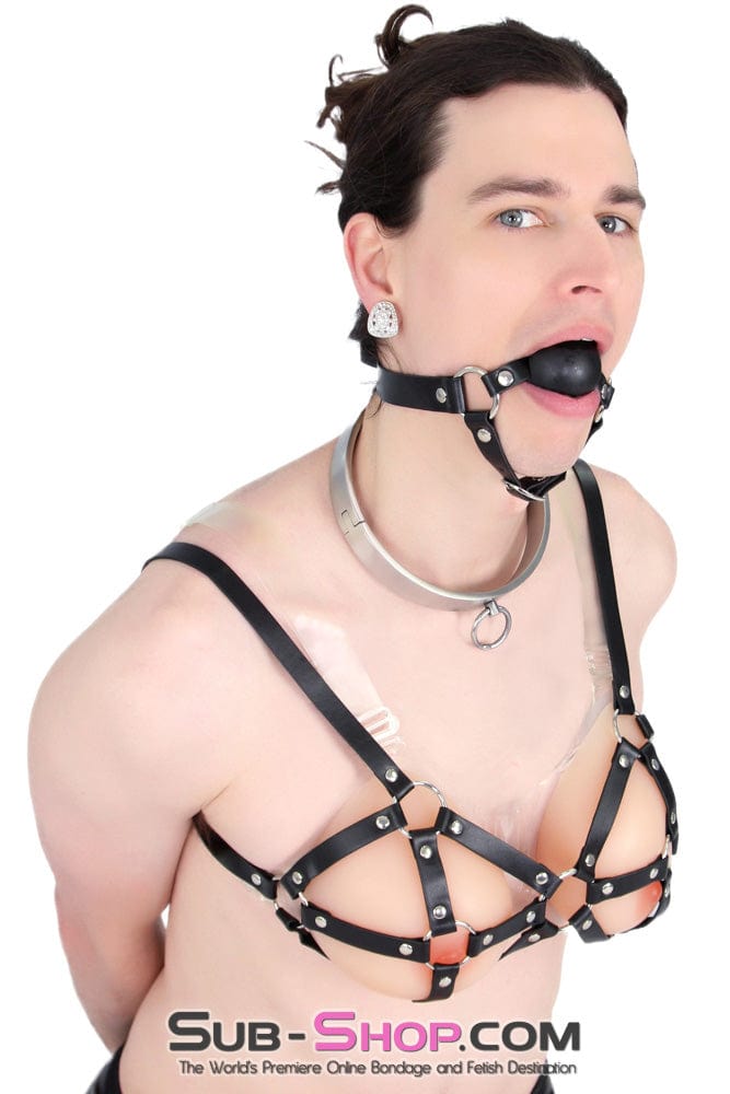 9877RS      Gia Real Feel Silicone Breast Forms with Nipples and Clear Straps, DD Cup Breast Forms   , Sub-Shop.com Bondage and Fetish Superstore