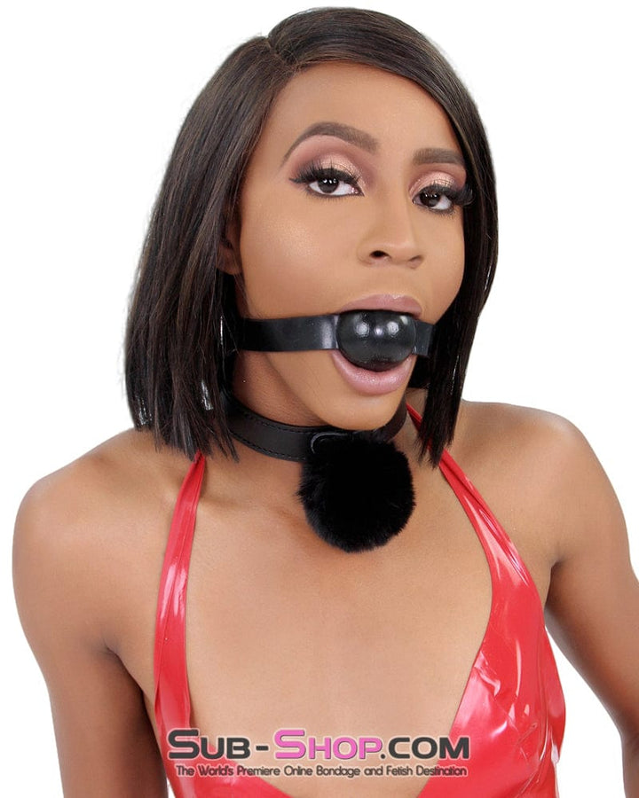9949M      Petgirl Puff Bondage Collar with Leash Set - LAST CHANCE - Final Closeout! MEGA Deal   , Sub-Shop.com Bondage and Fetish Superstore
