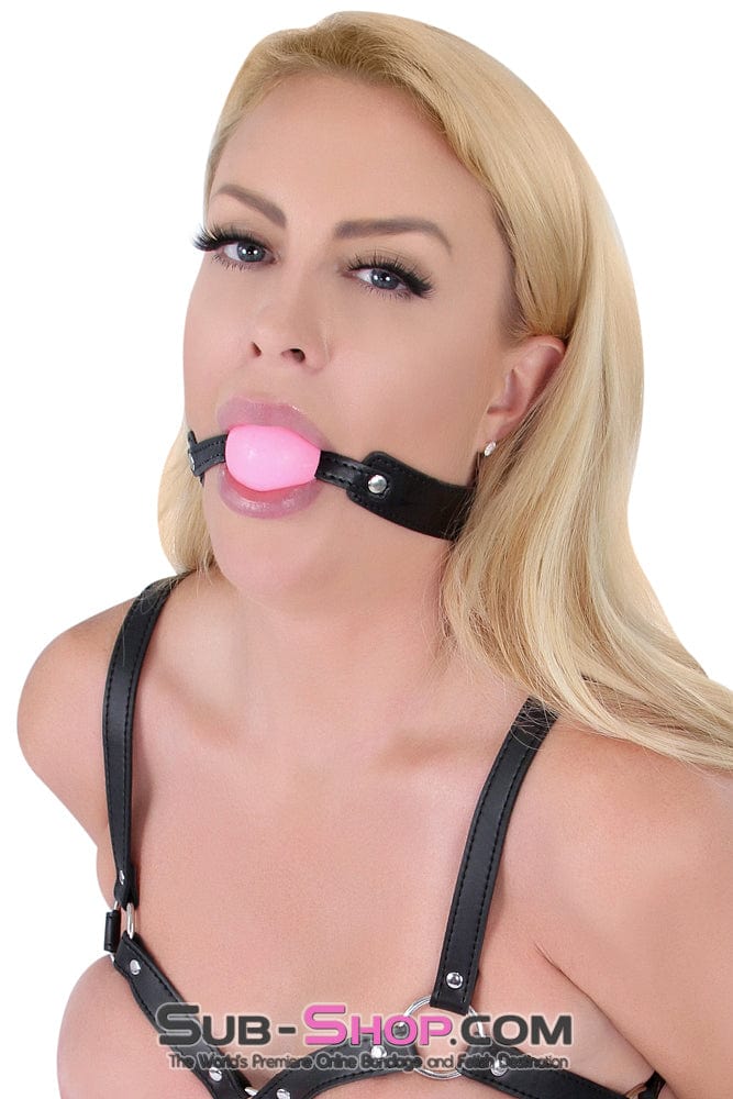 Ballgag 1815R      Beginner’s Pink Rubber Ballgag