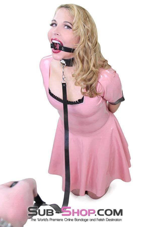 Bondage Set 9069DL      Led to the Bed Collar and Leash Set