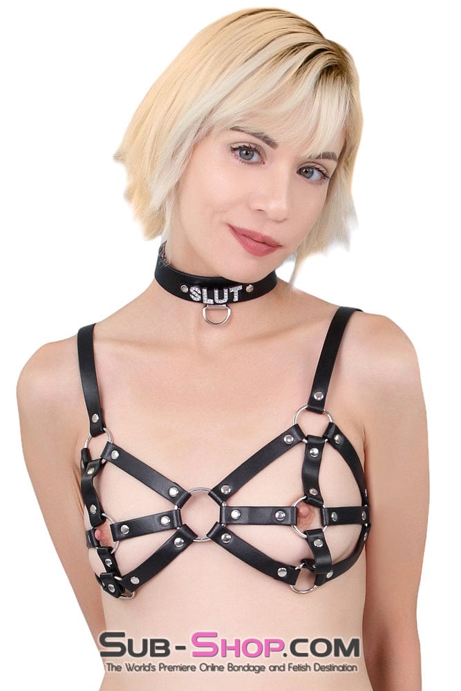 Breast Bondage 9897RS      Breast Cage Bondage Bra