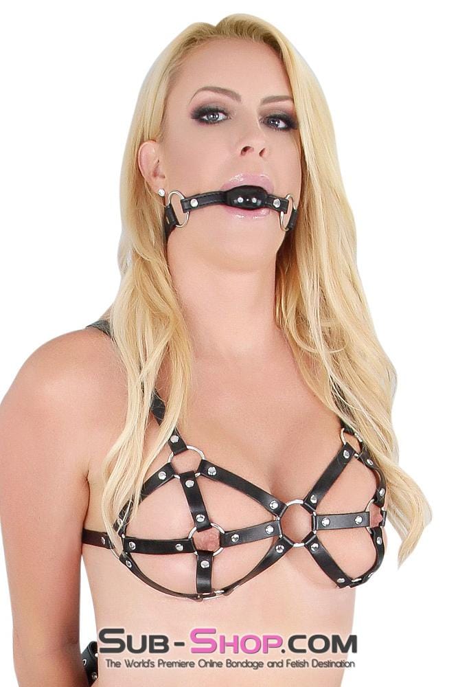 Breast Bondage 9897RS      Breast Cage Bondage Bra