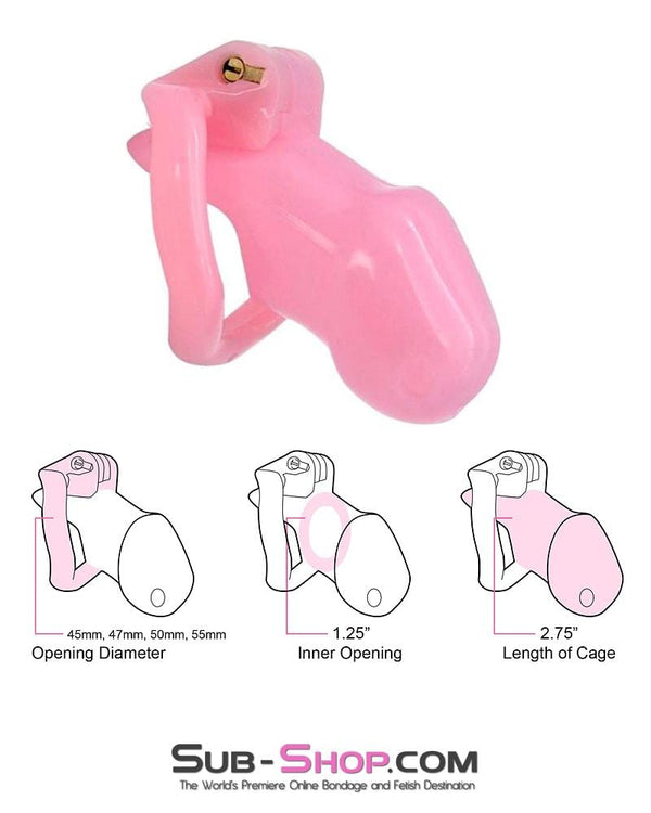 Chastity 0396AE      <b>BOGO!</b> Sissy Bitch High Security Keyed Tumbler Locking Male Chastity with 4 Base Cock Ring Sizes