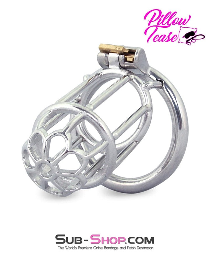 Chastity 0483M      Behind Bars High Security Cock Cage Chastity Device