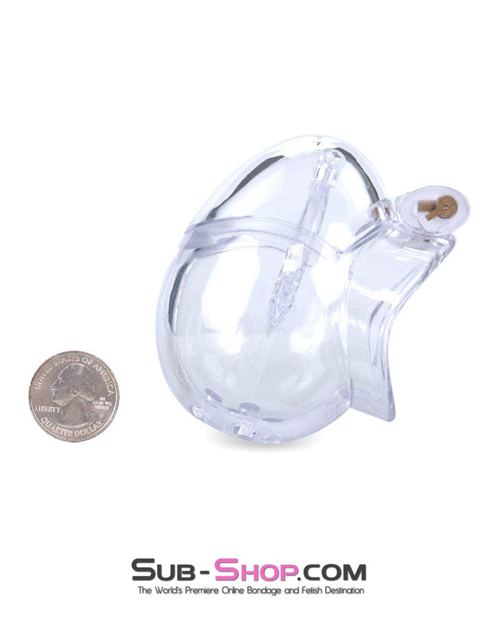 Chastity 0740M      Small Egg Cock and Balls Chastity Cage with Spiked Anti Pull Off Ball Torture Ring