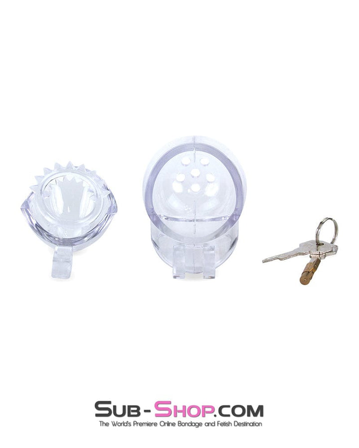 Chastity 0740M      Small Egg Cock and Balls Chastity Cage with Spiked Anti Pull Off Ball Torture Ring