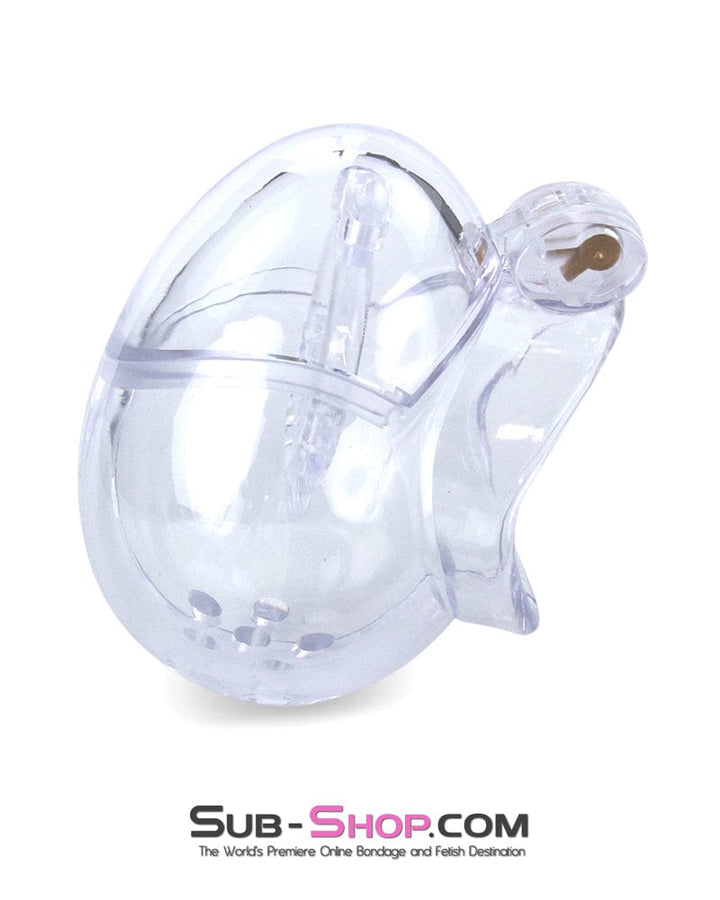 Chastity 0740M      Small Egg Cock and Balls Chastity Cage with Spiked Anti Pull Off Ball Torture Ring