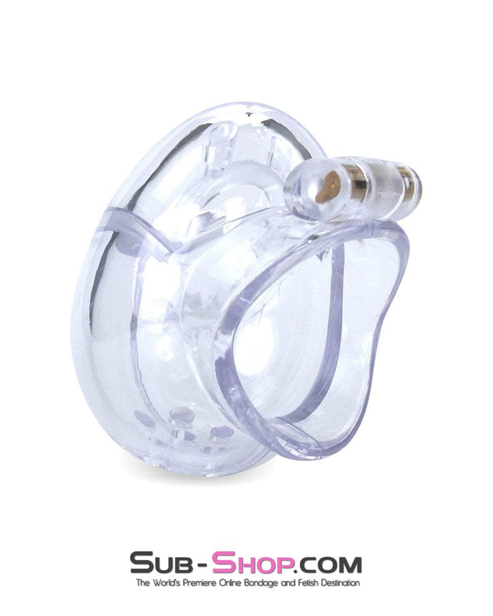 Chastity 0740M      Small Egg Cock and Balls Chastity Cage with Spiked Anti Pull Off Ball Torture Ring