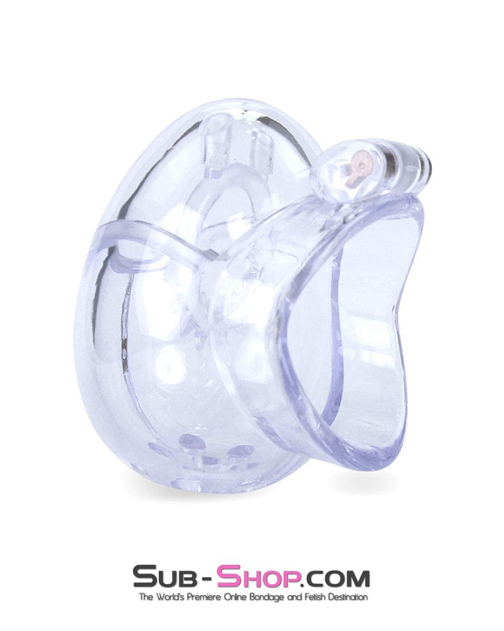 Chastity 0741M      Medium Egg Cock and Balls Chastity Cage with Spiked Anti Pull Off Ball Torture Ring