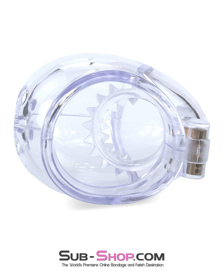 Chastity 0741M      Medium Egg Cock and Balls Chastity Cage with Spiked Anti Pull Off Ball Torture Ring