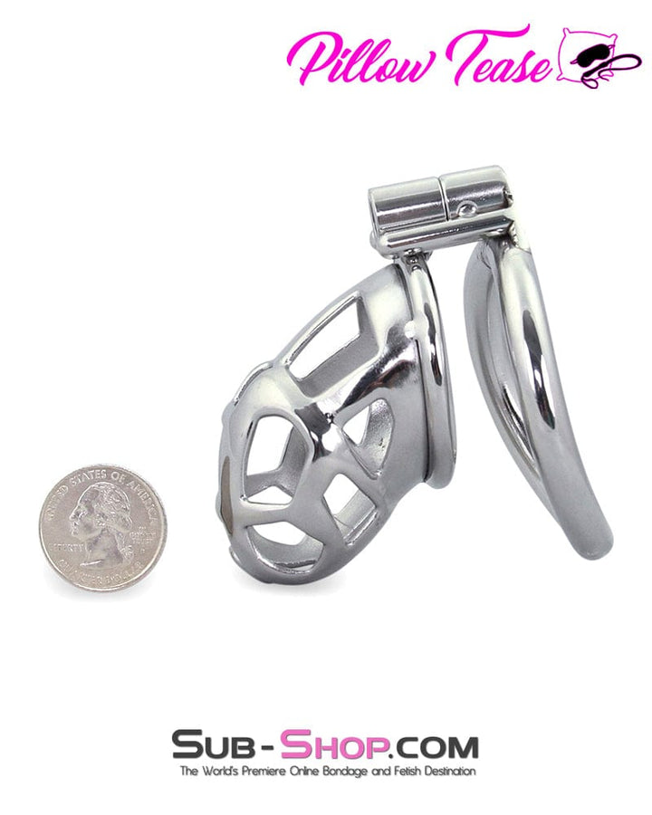 Chastity 1489AR      Tempt and Tease Steel Male Teasing Chastity Cage