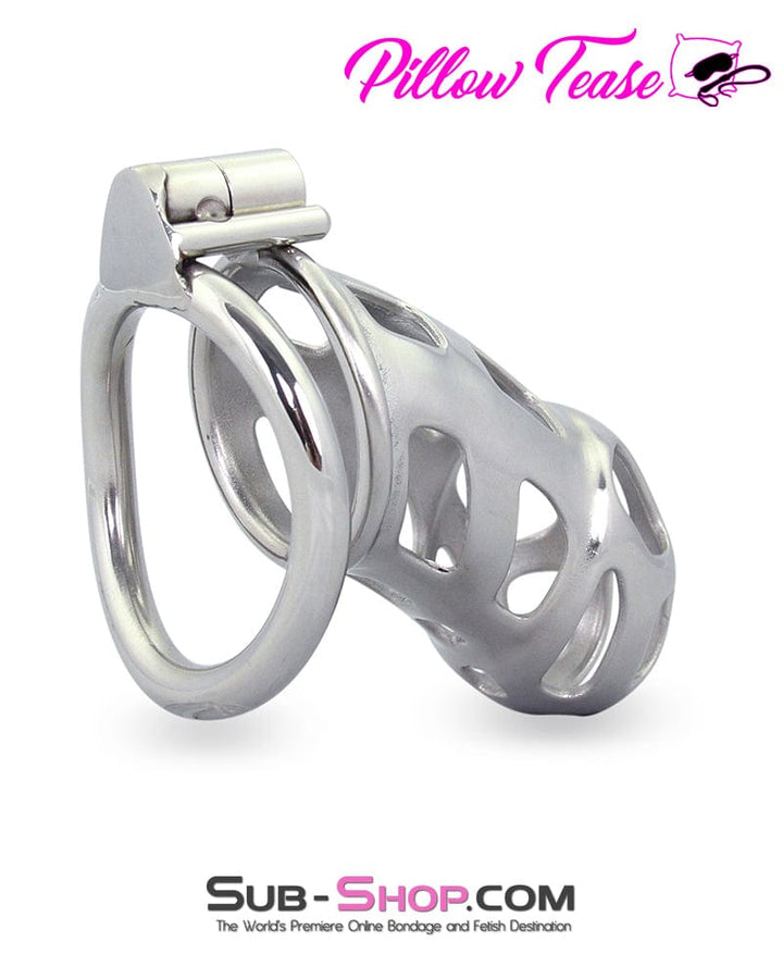 Chastity 1692AR      Edging Torture Chastity Steel Male Chastity Cage