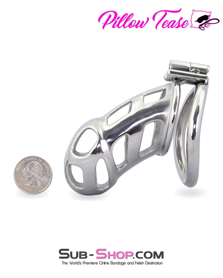 Chastity 1692AR      Edging Torture Chastity Steel Male Chastity Cage