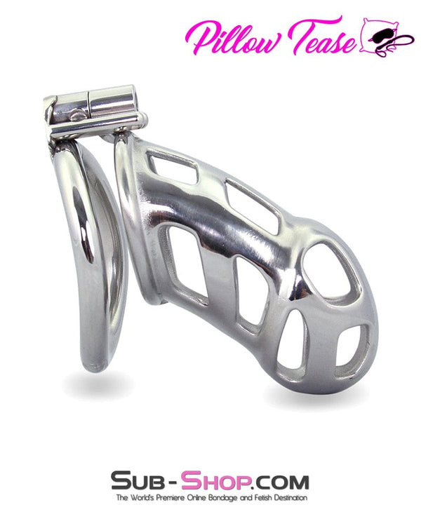 Chastity 1692AR      Edging Torture Chastity Steel Male Chastity Cage
