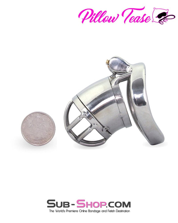 Chastity 1693AR      Storm Drain Locking Steel Male Chastity Cage