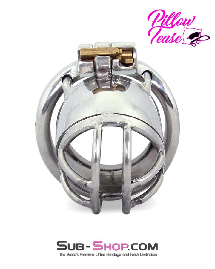 Chastity 1693AR      Storm Drain Locking Steel Male Chastity Cage