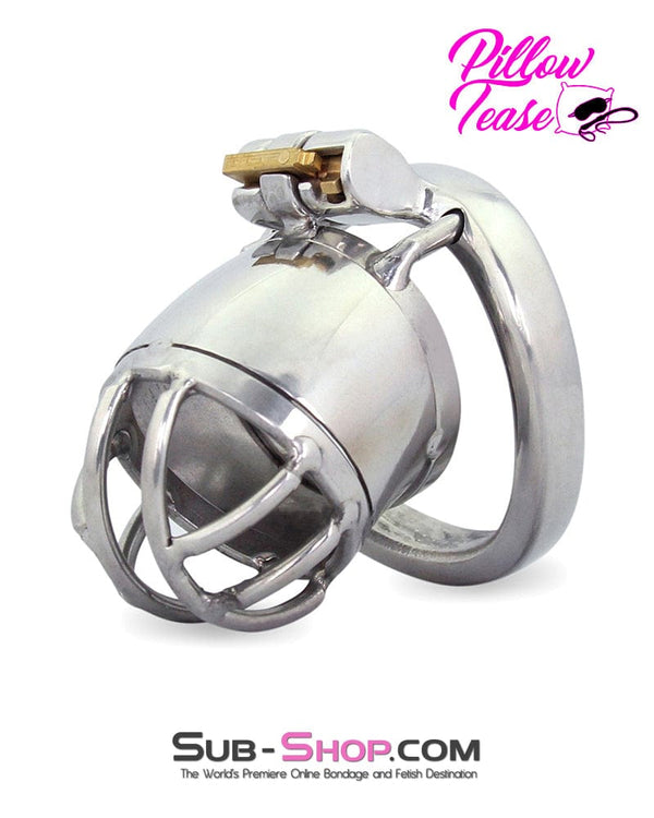 Chastity 1693AR      Storm Drain Locking Steel Male Chastity Cage