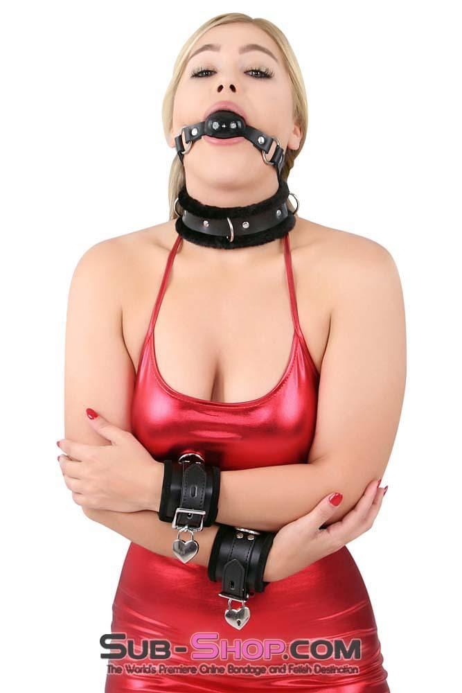 Collar 0663HS      Beloved Slave Faux Fur Lined Locking Leatherette Collar