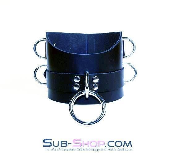 Collar 1630A      Total Control 4" Leather Posture Collar