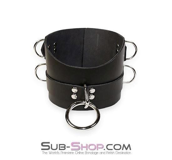 Collar 1630A      Total Control 4" Leather Posture Collar