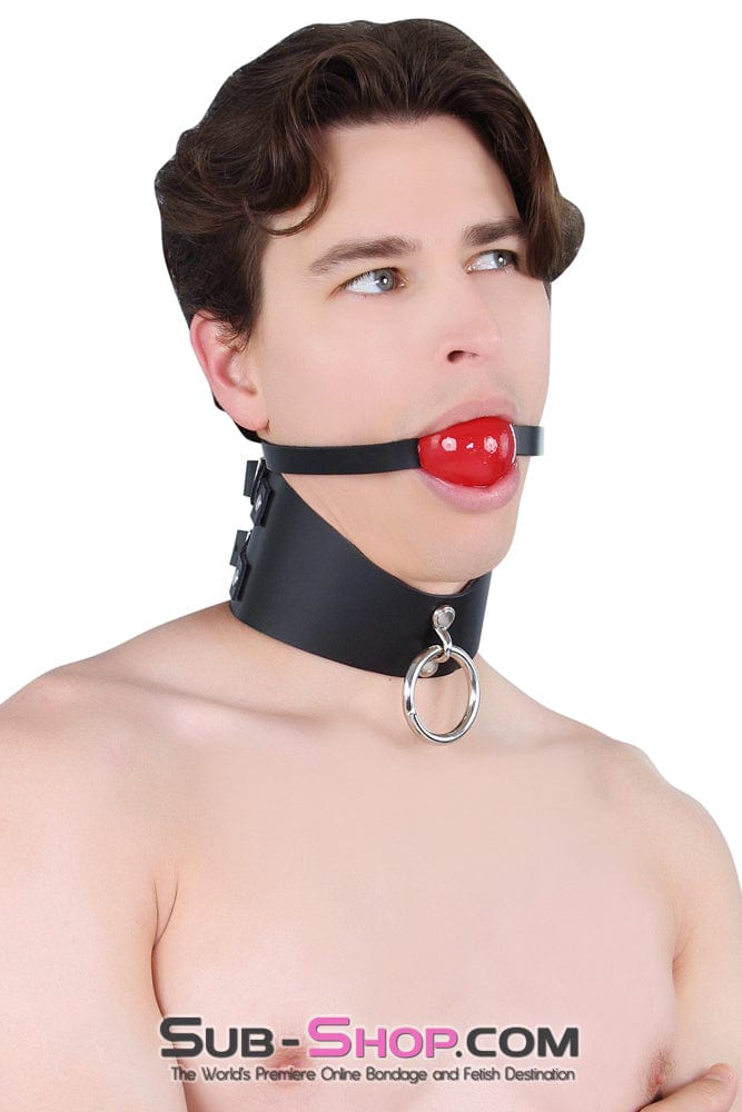 Collar 1656A      Surrender 3" Black Leather Posture Collar