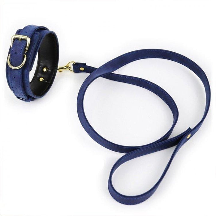 Collar 2376M      Deep Blue Gold Standard Padded Supple Collar and Leash Set