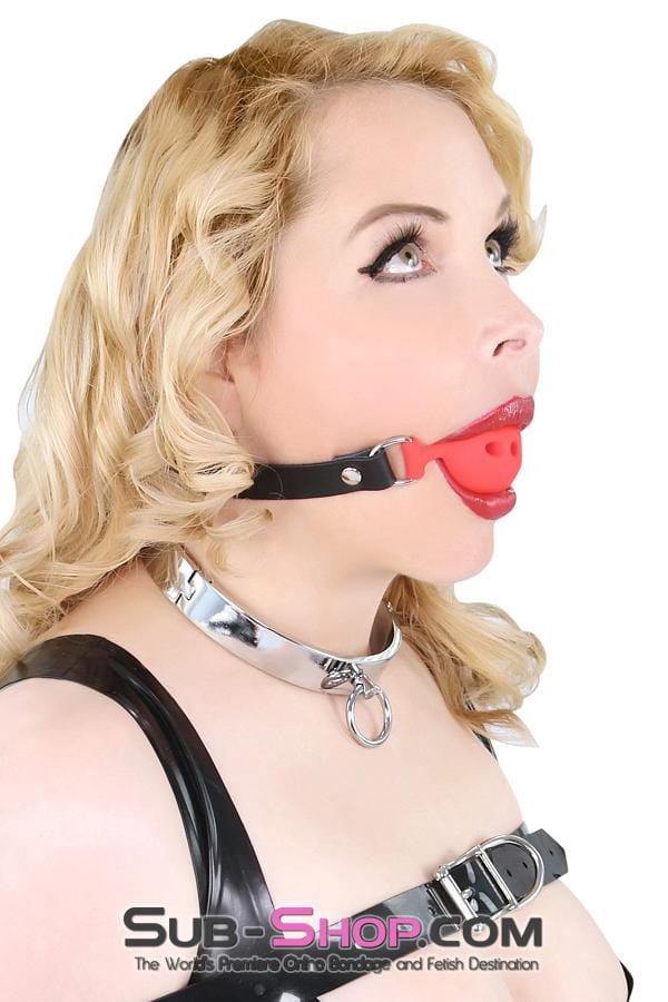 Collar 3638BD      Forever My Love, Steel Ownership Collar