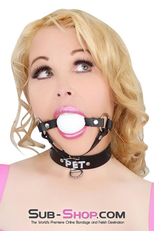Collar 6842A      PET Rhinestone Collar, Black Leather
