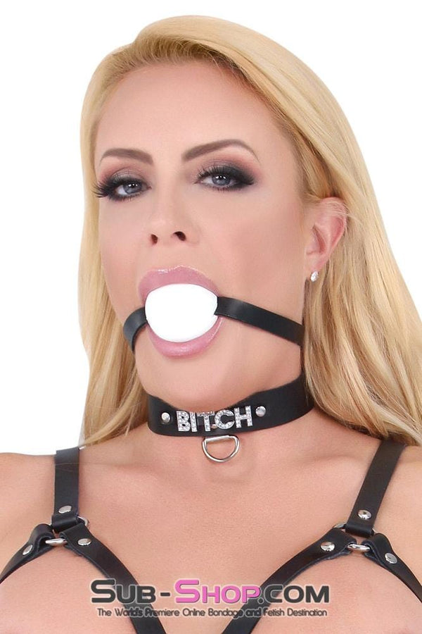 Collar 7172A      BITCH Black Leather Rhinestone Letter Collar