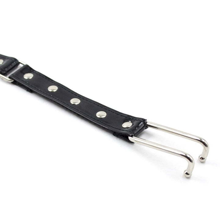 Collar 8919DL      Haughty Slave Patent Vinyl Chrome Nose Hook & Collar Set