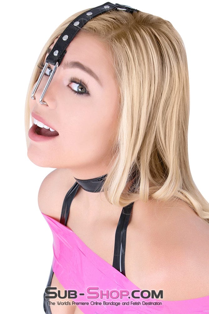 Collar 8919DL      Haughty Slave Patent Vinyl Chrome Nose Hook & Collar Set