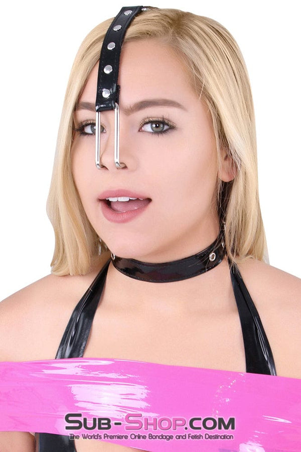 Collar 8919DL      Haughty Slave Patent Vinyl Chrome Nose Hook & Collar Set