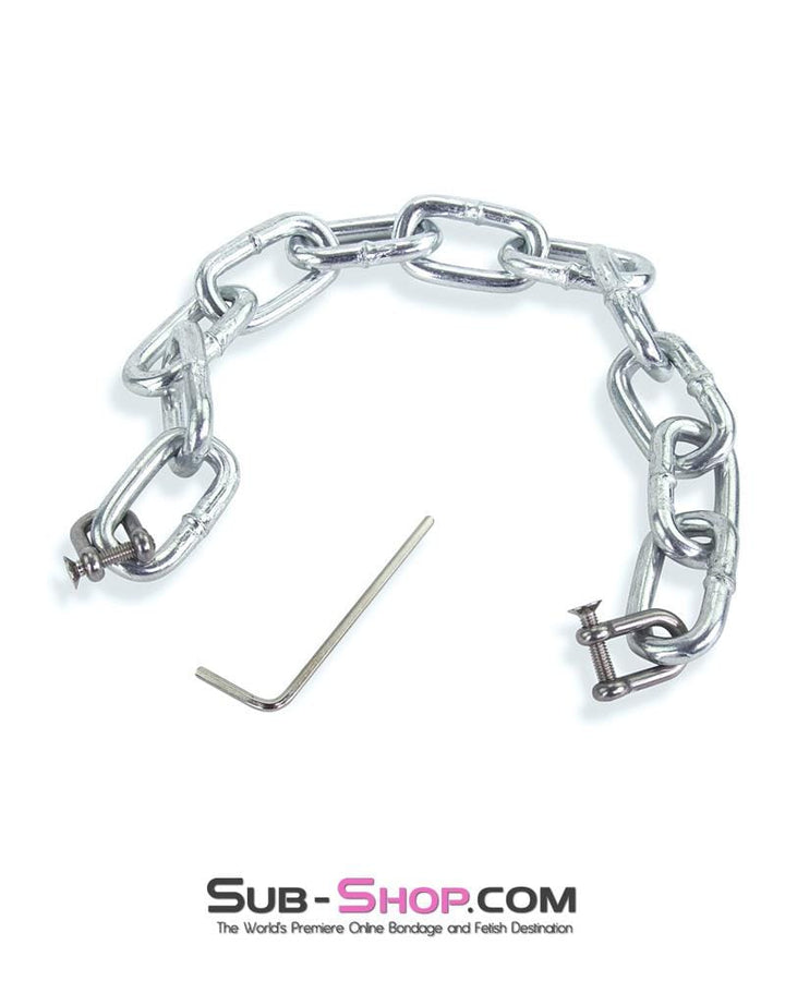Connection Chain 5765M      High Security Hex Key Screw Heavy Bondage Gear Chain Connection
