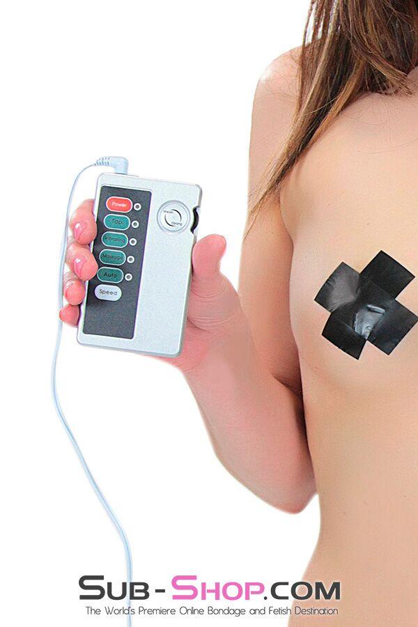 Electro-Stim 6919R      Sub-Shock Electro-Stimulation Power Box