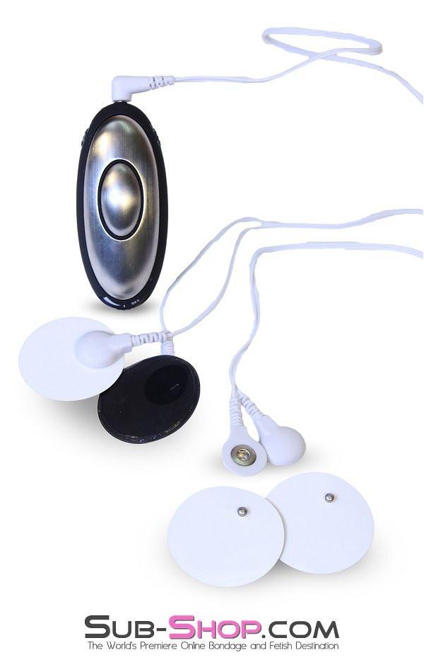 Electro-Stim 7387R      Electro-Sex Mini Powerbox with Leads and Pads