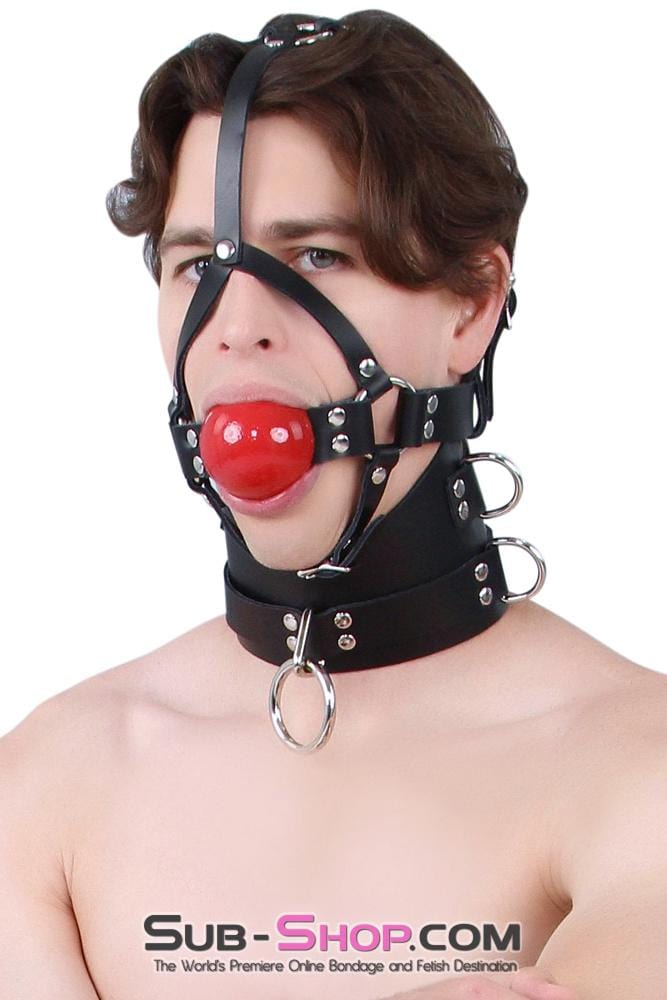 Gags 0450A      2” Leather Ball Gag Trainer, Candy Apple Red Ball
