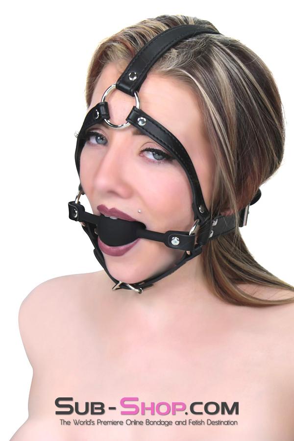 Gags 1597M      Premium Hush Black Silicone Ball Gag Trainer