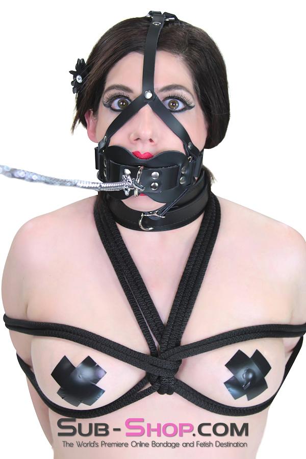 Gags 3413A      Double Mouth Guard Gag Trainer