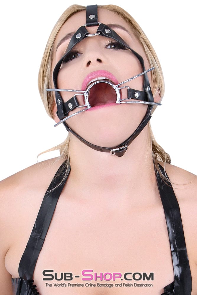 Gags 4456HS      Trainer Style Spider Gag