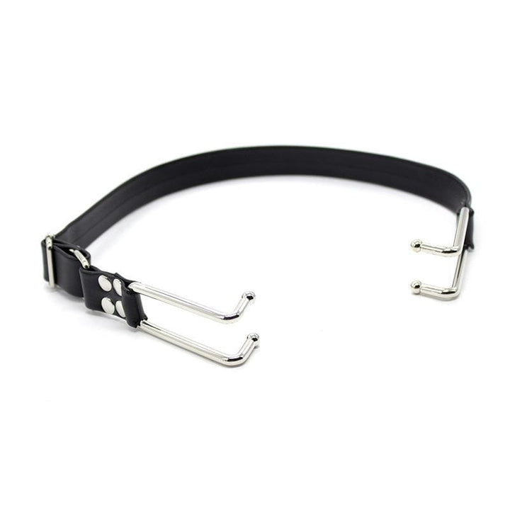 Gags 4467BD      Are You The One? Spreader Gag