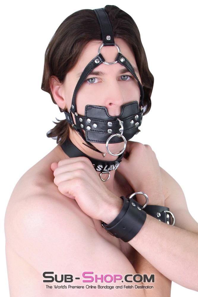 Gags 6163M      Head Trainer Panel Gag Trainer Ball Gag with Lead Ring