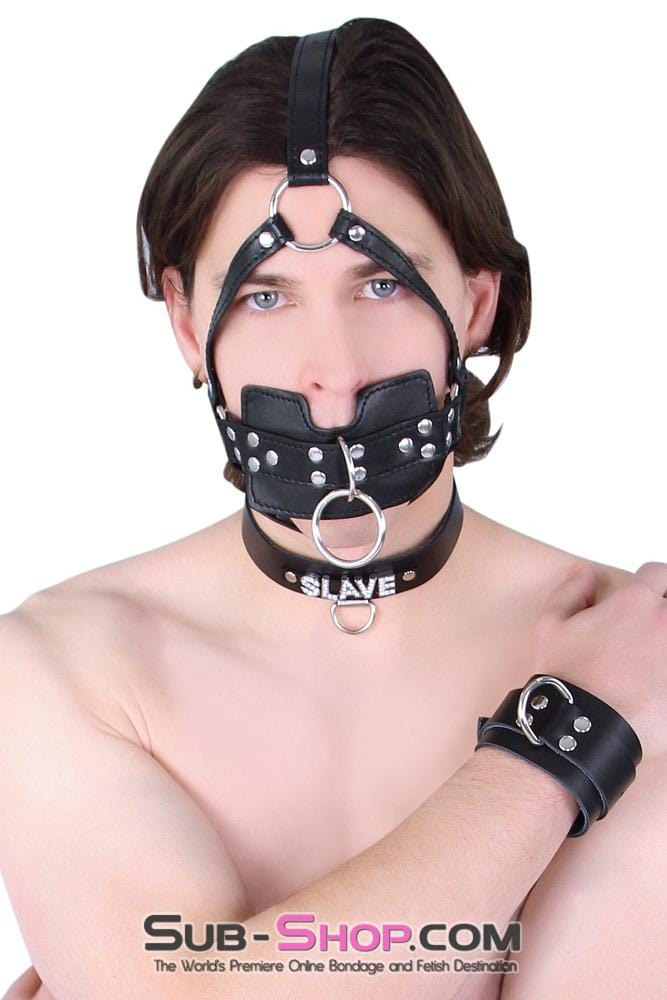 Gags 6163M      Head Trainer Panel Gag Trainer Ball Gag with Lead Ring