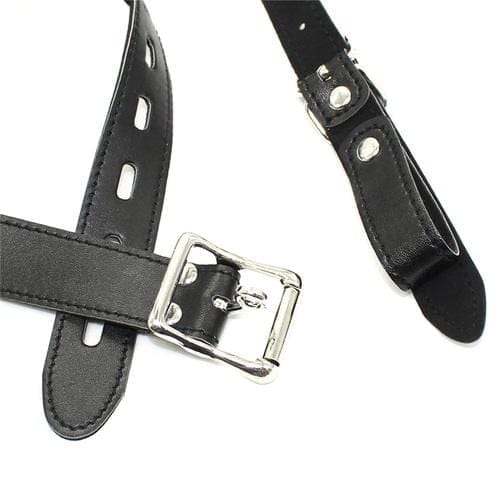 Gags 6163M      Head Trainer Panel Gag Trainer Ball Gag with Lead Ring